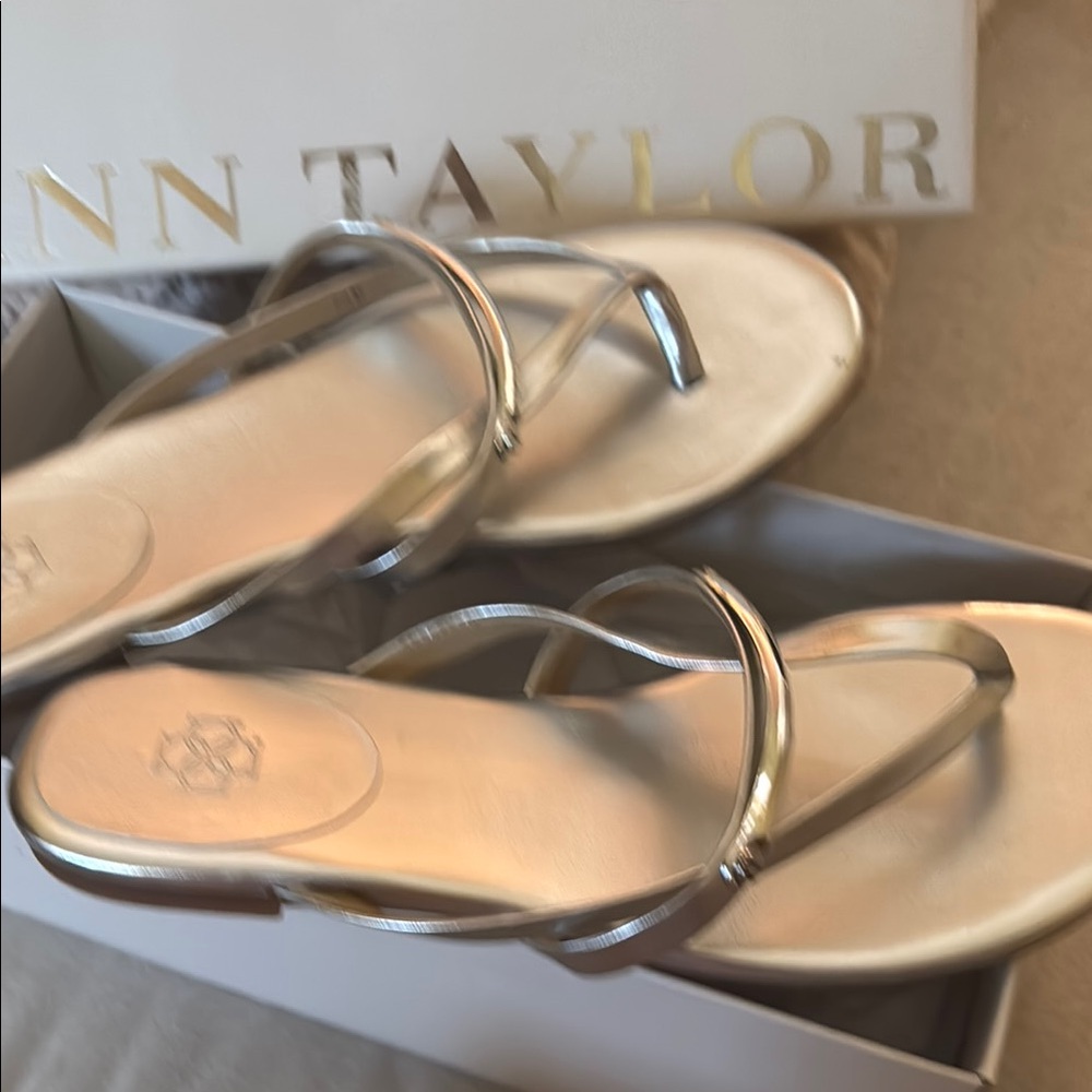 Ann Taylor Silver Sandals Classic Summer Style
